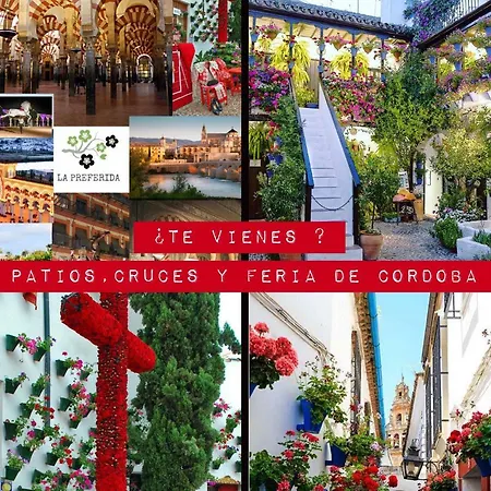 Centro Histórico Mezquita Judería La Preferida *