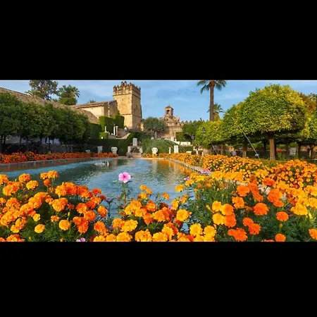 Appartement Centro Historico Mezquita Juderia La Preferida Córdoba