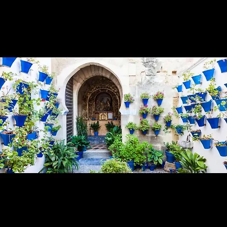 Centro Historico Mezquita Juderia La Preferida